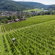 Fotoshooting Spessart-Mainland 2024, © Spessart-Mainland/ILE Südspessart/Holger Leue